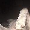 allisonb15_