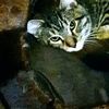 myyyyy1