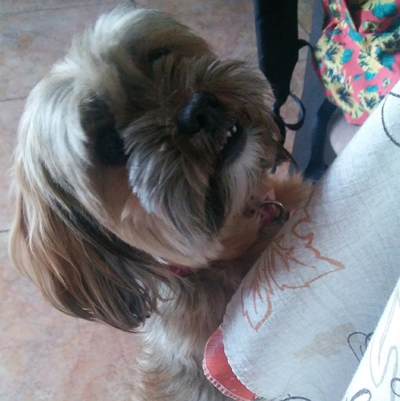 chiquita24n