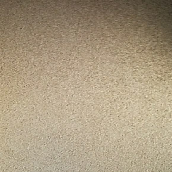 msauter2