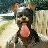 matthew_trimble