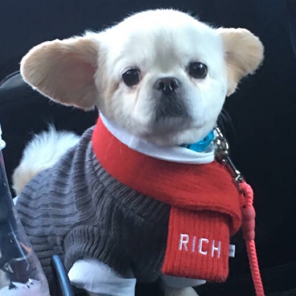 teddychao