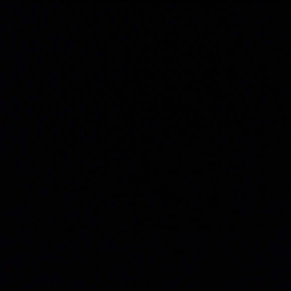 nitzelvickie