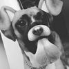zojoey123