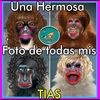 silv_ia