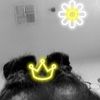 kayla_eddings
