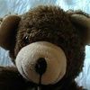 buttonsnbears