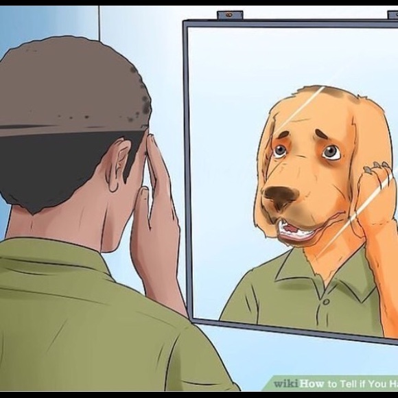 adamjpeg