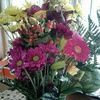 sharlyn0617
