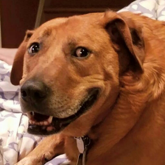 basurabecca