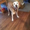 kevin_kelley1