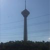 srajaei