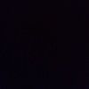 daisy_463