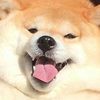 timdkim
