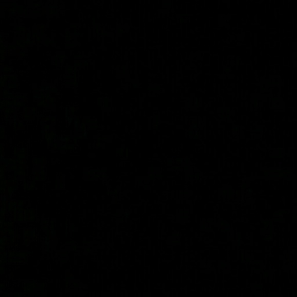 tlpickron80
