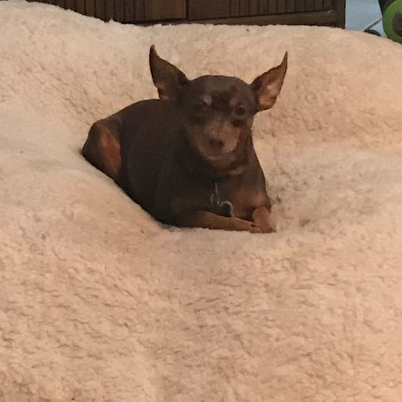 menminime