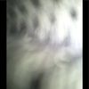 jbear123123