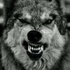 taint_maniac