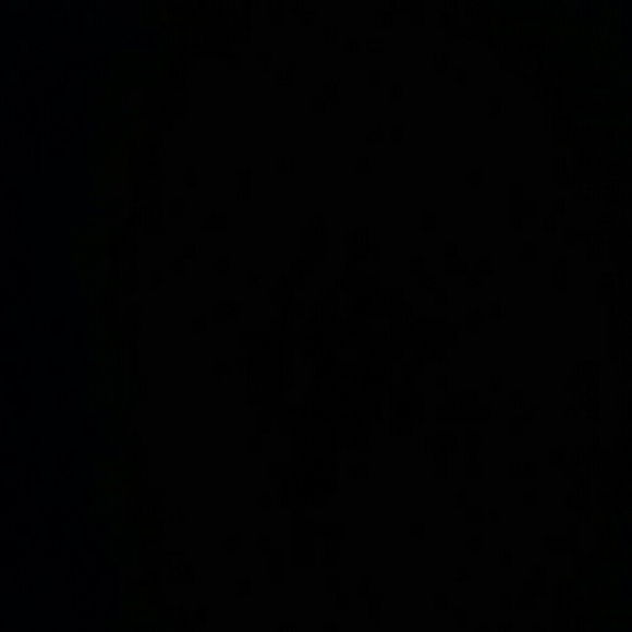 vvxo
