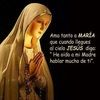 mjviales
