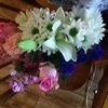 debbiegarcia111