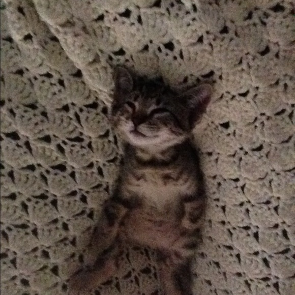 simbagheera