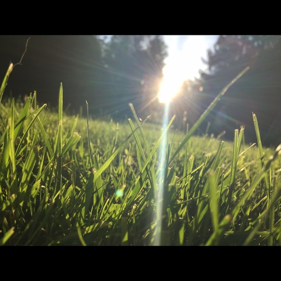 erika_d11