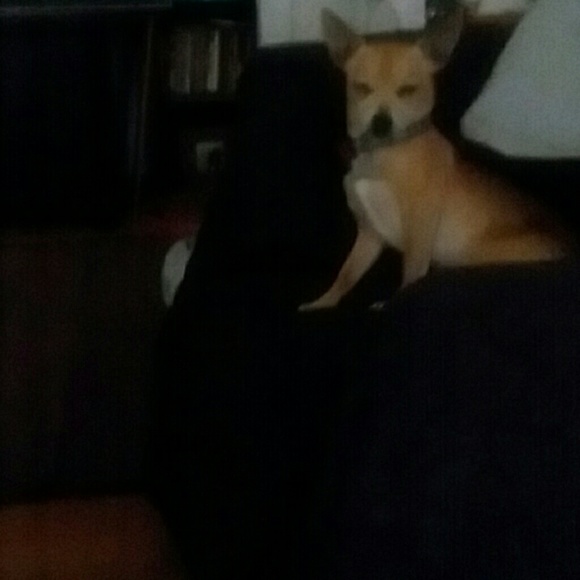 recookjr