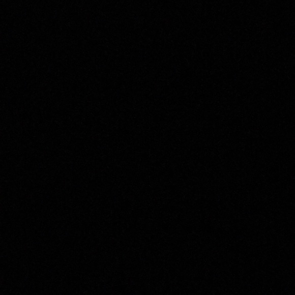 odenl2