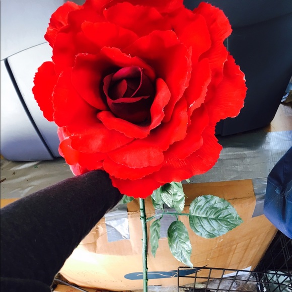 red120404