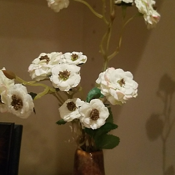 cosmos5005