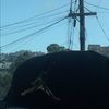 ramdan_b
