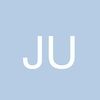 julvick