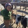 albertmar85