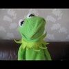 Kerrie Coffey - @kermiedafrog - Poshmark