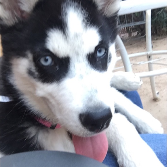bella050717