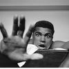 eduardodel