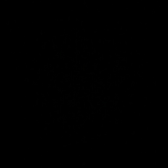 fidijunior