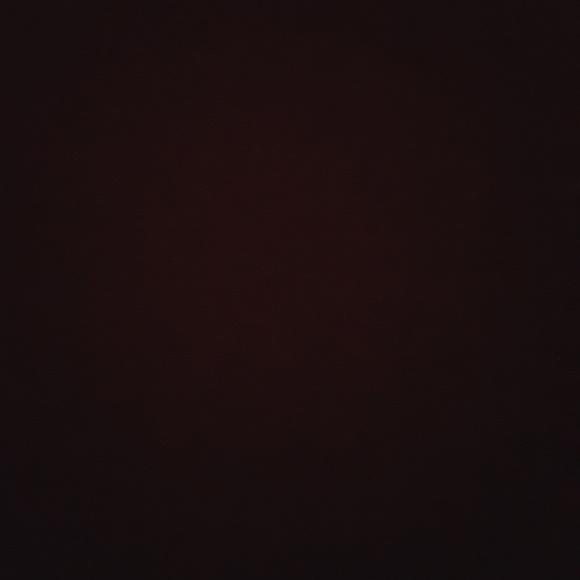Poshmark profile picture for @booted