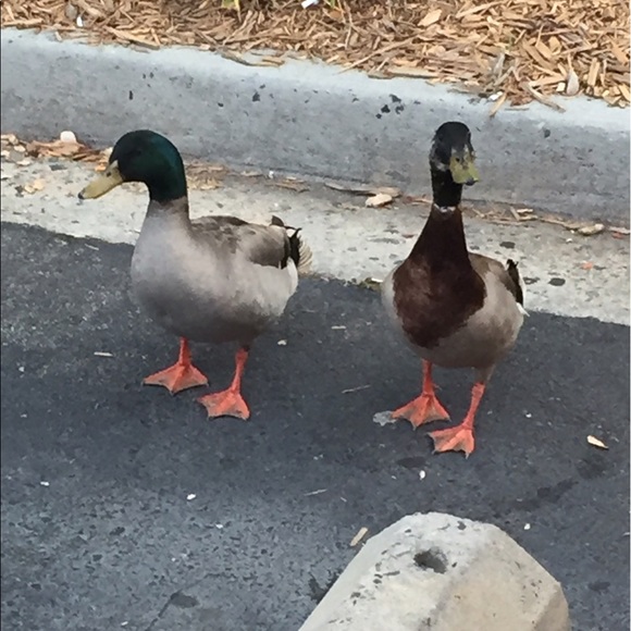 karenws3