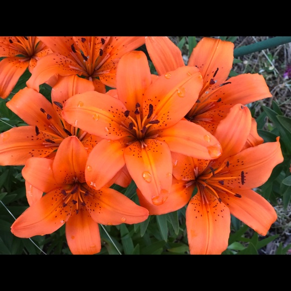 edwardsaimee27