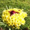 abeir64