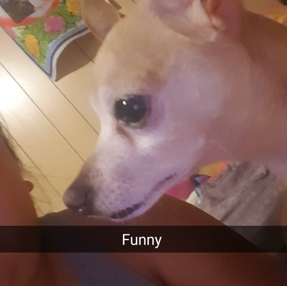 sylviamuniz04
