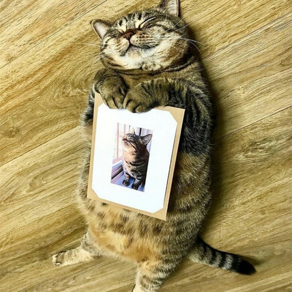 monicacastilloc