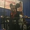 cogicgirl
