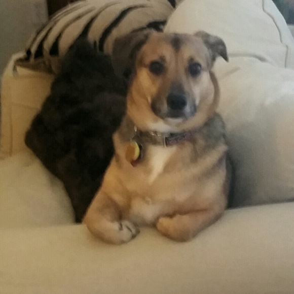 mrbodie