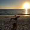hmkgymnast