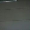 zazou2504