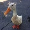 twotwinz2