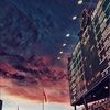 aldo_1511